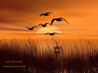 Texte: Auteur inconnu Diapo réalisé par:Lise Tardif 