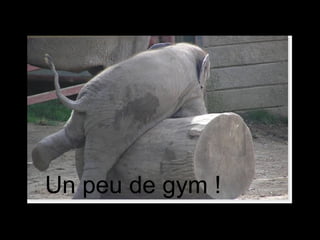Un peu de gym ! 