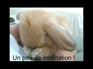 Un peu de méditation ! 
