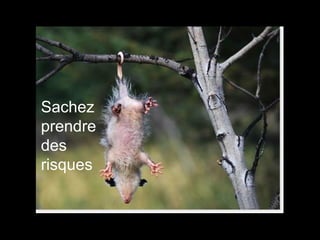 Sachez prendre des risques 