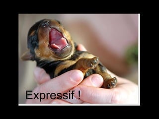 Expressif ! 
