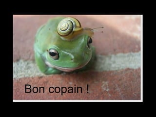 Bon copain ! 