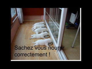 Sachez vous nourrir correctement ! 