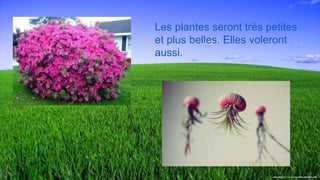Les plantes seront très petites
et plus belles. Elles voleront
aussi.
 