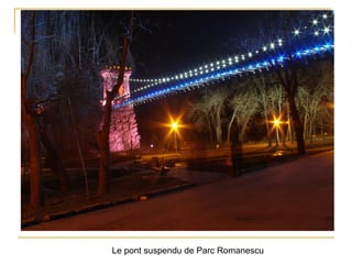 Le pont suspendu de Parc Romanescu
 