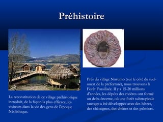 Préhistoire

La reconstitution de ce village préhistorique
introduit, de la façon la plus efficace, les
visiteurs dans la vie des gens de l'époque
Néolithique.

Près du village Nostimo (sur le côté du sudouest de la préfecture), nous trouvons la
Forêt Fossilisée. Il y a 15-20 millions
d'années, les dépôts des rivières ont formé
un delta énorme, où une forêt subtropicale
sauvage a été développée avec des hêtres,
des châtaignes, des chênes et des palmiers.

 