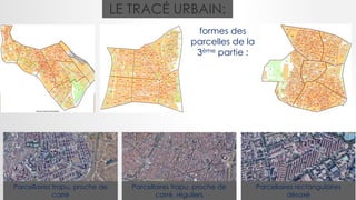 LE TRACÉ URBAIN:
formes des
parcelles de la
3ème partie :
Parcellaires rectangulaires
désaxé
Parcellaires trapu, proche de
carré, réguliers
Parcellaires trapu, proche de
carré
 