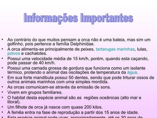 Ao contrário do que muitos pensam a orca não é uma baleia, mas sim um golfinho, pois pertence a família Delphinidae.   A orca alimenta-se principalmente de peixes,  tartarugas marinhas , lulas,  polvos  e cachalotes.  Possui uma velocidade média de 15 km/h, porém, quando esta caçando, pode passar de 40 km/h.  Possui uma camada grossa de gordura que funciona como um isolante térmico, protendo o animal das oscilações de temperatura da  água .  Em sua forte mandibula possui 50 dentes, sendo que pode triturar ossos de outros animais marinhos com uma simples mordida.  As orcas comunicam-se através da emissão de sons.  Vivem em grupos familiares.  O habitat desta espécie animal são as  regiões oceânicas (alto mar e litoral).  Um filhote de orca já nasce com quase 200 kilos.  A femêa entra na fase de reprodução a partir dos 15 anos de idade.  Esta espécie animal pode viver, aproximadamente, até os 30 anos de idade.  Informações Importantes 