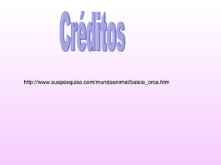 Créditos http://www.suapesquisa.com/mundoanimal/baleia_orca.htm 