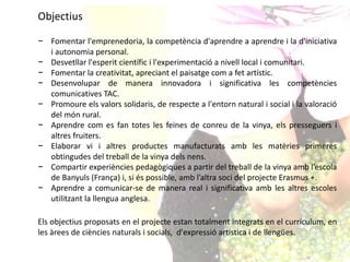 Objectius
− Fomentar l'emprenedoria, la competència d'aprendre a aprendre i la d'iniciativa
i autonomia personal.
− Desvetllar l'esperit científic i l'experimentació a nivell local i comunitari.
− Fomentar la creativitat, apreciant el paisatge com a fet artístic.
− Desenvolupar de manera innovadora i significativa les competències
comunicatives TAC.
− Promoure els valors solidaris, de respecte a l'entorn natural i social i la valoració
del món rural.
− Aprendre com es fan totes les feines de conreu de la vinya, els presseguers i
altres fruiters.
− Elaborar vi i altres productes manufacturats amb les matèries primeres
obtingudes del treball de la vinya dels nens.
− Compartir experiències pedagògiques a partir del treball de la vinya amb l’escola
de Banyuls (França) i, si és possible, amb l’altra soci del projecte Erasmus +.
− Aprendre a comunicar-se de manera real i significativa amb les altres escoles
utilitzant la llengua anglesa.
Els objectius proposats en el projecte estan totalment integrats en el currículum, en
les àrees de ciències naturals i socials, d'expressió artística i de llengües.
 