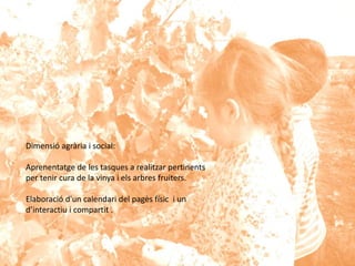 Dimensió agrària i social:
Aprenentatge de les tasques a realitzar pertinents
per tenir cura de la vinya i els arbres fruiters.
Elaboració d'un calendari del pagès físic i un
d’interactiu i compartit .
 