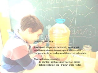 Dimensió científica:
Formulació d'hipòtesis de treball, verificació i
establiment de conclusions a partir de l'estudi i
comparació de les dades recollides en els calendaris.
Observatoris permanents:
 de plantes i bestioles que viuen als camps
 del cicle vital del cep i d'algun arbre fruiter.
 
