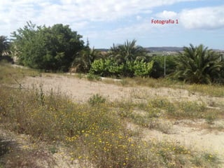 Fotografia 1
 