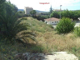Fotografia 4
 