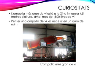 CURIOSITATS
• L'ampolla més gran de vi està a la Xina i mesura 4.5
metres d'altura, amb més de 1800 litres de vi
• Per fer una ampolla de vi, es necessiten un quilo de
raïm
L’ampolla més gran de vi
 