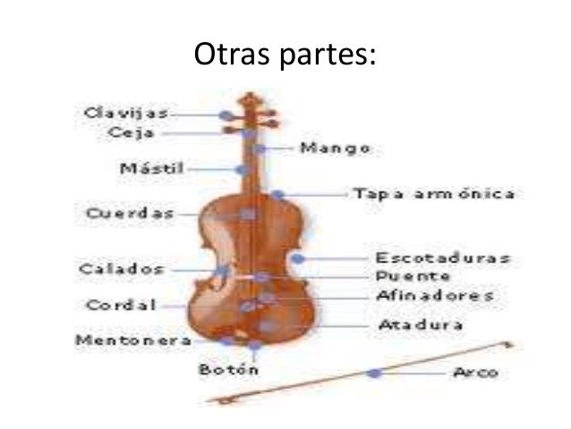 La viola