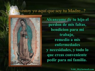 “ ¿No estoy yo aquí que soy tu Madre...?

                 • Alcanzame de tu hijo el
                    perdon de mis faltas,
                      bendicion para mi
                          trabajo,
                        remedio a mis
                        enfermedades
                   y necesidades, y todo lo
                   que creas conveniente
                   pedir para mi familia. 

                                Yebi_10@hotmail.com
 