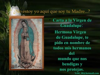 “  ¿No estoy yo aquí que soy tu Madre...? Carta a la Virgen de Guadalupe:  Hermosa Virgen de Guadalupe, te pido en nombre de todos mis hermanos del  mundo que nos bendigas y nos protejas.  [email_address] 