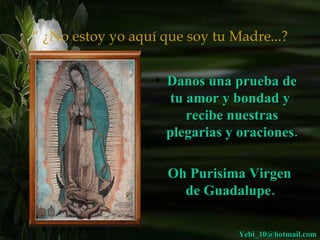 “  ¿No estoy yo aquí que soy tu Madre...? Danos una prueba de tu amor y bondad y  recibe nuestras plegarias y oraciones.  Oh Purisima Virgen de Guadalupe.   [email_address] 