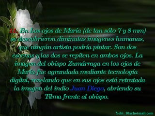 11.  En Los ojos de María (de tan sólo 7 y 8 mm) se descubrieron diminutas imágenes humanas, que ningún artista podría pintar. Son dos escenas y las dos se repiten en ambos ojos. La imagen del obispo Zumárraga en los ojos de María fue agrandada mediante tecnología digital, revelando que en sus ojos está retratada la imagen del indio  Juan Diego , abriendo su Tilma frente al obispo.   [email_address] 