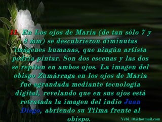 11. En Los ojos de María (de tan sólo 7 y
     8 mm) se descubrieron diminutas
  imágenes humanas, que ningún artista
 podría pintar. Son dos escenas y las dos
 se repiten en ambos ojos. La imagen del
  obispo Zumárraga en los ojos de María
    fue agrandada mediante tecnología
  digital, revelando que en sus ojos está
    retratada la imagen del indio Juan
    Diego , abriendo su Tilma frente al
                  obispo.        Yebi_10@hotmail.com
 