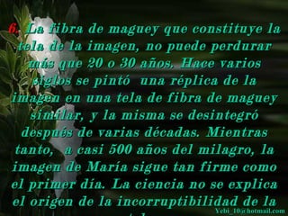 6. La fibra de maguey que constituye la
  tela de la imagen, no puede perdurar
    más que 20 o 30 años. Hace varios
    siglos se pintó una réplica de la
imagen en una tela de fibra de maguey
    similar, y la misma se desintegró
   después de varias décadas. Mientras
 tanto, a casi 500 años del milagro, la
 imagen de María sigue tan firme como
el primer día. La ciencia no se explica
 el origen de la incorruptibilidad de la
                               Yebi_10@hotmail.com
 