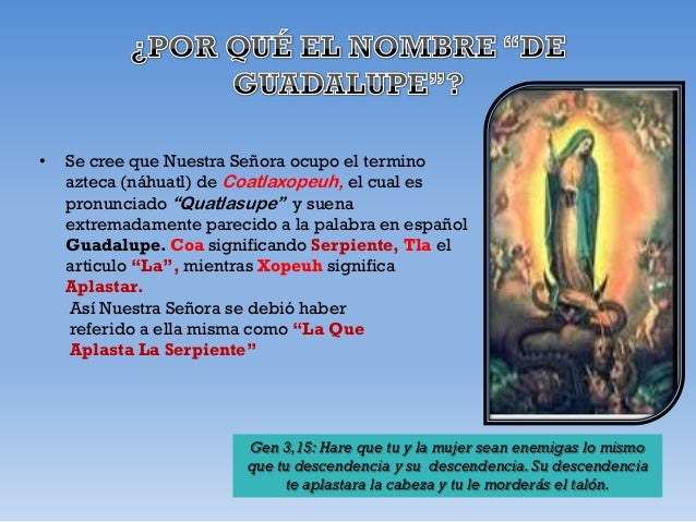 Resultado de imagen para guadalupe coatlaxopeuh