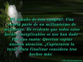 El tamaño de ééssttaa iimmaaggeenn??.. UUnnaa 
ccuuaarrttaa ppaarrttee ddee uunn mmiilllloonnééssiimmoo ddee 
mmiillíímmeettrroo.. EEss eevviiddeennttee qquuee ttooddooss eessttooss 
hheecchhooss iinneexxpplliiccaabblleess ssee nnooss hhaann ddaaddoo 
PPoorr uunnaa rraazzóónn:: QQuueerrííaann ccaappttaarr 
nnuueessttrraa aatteenncciióónn.. ¿CCaappttuurraarroonn llaa 
ttuuyyaa?? PPaarraa ffiinnaalliizzaarr ccoonnssiiddeerraa ttrreess 
hheecchhooss mmááss:: 
YYeebbii__1100@@hhoottmmaaiill..ccoomm 
 