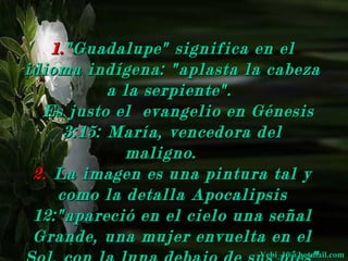 11..""GGuuaaddaalluuppee"" ssiiggnniiffiiccaa eenn eell 
iiddiioommaa iinnddííggeennaa:: ""aappllaassttaa llaa ccaabbeezzaa 
aa llaa sseerrppiieennttee"".. 
EEss jjuussttoo eell eevvaannggeelliioo eenn GGéénneessiiss 
33::1155:: MMaarrííaa,, vveenncceeddoorraa ddeell 
mmaalliiggnnoo.. 
22.. LLaa iimmaaggeenn eess uunnaa ppiinnttuurraa ttaall yy 
ccoommoo llaa ddeettaallllaa AAppooccaalliippssiiss 
1122::""aappaarreecciióó eenn eell cciieelloo uunnaa sseeññaall 
GGrraannddee,, uunnaa mmuujjeerr eennvvuueellttaa eenn eell 
SSooll,, ccoonn llaa lluunnaa ddeebbaajjoo ddee ssuuYYsseebb ii_p_1100ii@@eehhsoott"mmaa iill..ccoomm 
 