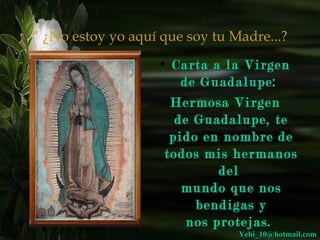 “ ¿No estoy yo aquí que soy tu Madre...? 
• CCaarrttaa aa llaa VViirrggeenn 
ddee GGuuaaddaalluuppee:: 
HHeerrmmoossaa VViirrggeenn 
ddee GGuuaaddaalluuppee,, ttee 
ppiiddoo eenn nnoommbbrree ddee 
ttooddooss mmiiss hheerrmmaannooss 
ddeell 
mmuunnddoo qquuee nnooss 
bbeennddiiggaass yy 
nnooss pprrootteejjaass.. 
YYeebbii__1100@@hhoottmmaaiill..ccoomm 
 