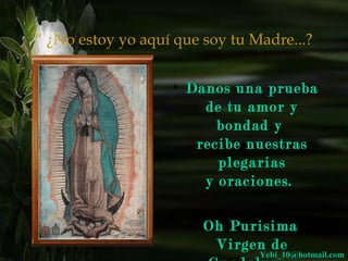 “ ¿No estoy yo aquí que soy tu Madre...? 
• DDaannooss uunnaa pprruueebbaa 
ddee ttuu aammoorr yy 
bboonnddaadd yy 
rreecciibbee nnuueessttrraass 
pplleeggaarriiaass 
yy oorraacciioonneess.. 
OOhh PPuurriissiimmaa 
VViirrggeenn ddee 
GGuuaaddaalluuppee.. YYeebbii__1100@@hhoottmmaaiill..ccoomm 
 