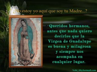 “ ¿No estoy yo aquí que soy tu Madre...? 
• QQuueerriiddooss hheerrmmaannooss,, 
aanntteess qquuee nnaaddaa qquuiieerroo 
ddeecciirrlleess qquuee llaa 
VViirrggeenn ddee GGuuaaddaalluuppee 
eess bbuueennaa yy mmiillaaggrroossaa 
yy ssiieemmpprree nnooss 
aaccoommppaaññaa eenn 
ccuuaallqquuiieerr lluuggaarr.. 
YYeebbii__1100@@hhoottmmaaiill..ccoomm 
 