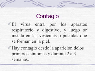 Contagio El virus entra por los aparatos respiratorio y digestivo, y luego se instala en las vesículas o pústulas que se forman en la piel.  Hay contagio desde la aparición delos primeros síntomas y durante 2 a 3 semanas.   