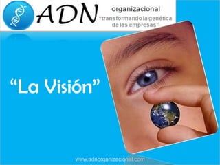 “La Visión” www.adnorganizacional.com 