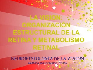 LA VISION:
ORGANIZACIÓN
ESTRUCTURAL DE LA
RETINA Y METABOLISMO
RETINAL
NEUROFISIOLOGIA DE LA VISION
ARANDA MALDONADO, CINDY

 