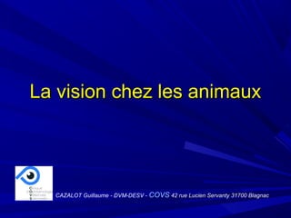 La vision chez les animauxLa vision chez les animaux
CAZALOT Guillaume - DVM-DESV - COVS 42 rue Lucien Servanty 31700 Blagnac
 