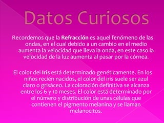 Datos CuriososRecordemos que la Refracción es aquel fenómeno de las ondas, en el cual debido a un cambio en el medio aumenta la velocidad que lleva la onda, en este caso la velocidad de la luz aumenta al pasar por la córnea.El color del Iris está determinado genéticamente. En los niños recién nacidos, el color del iris suele ser azul claro o grisáceo. La coloración definitiva se alcanza entre los 6 y 10 meses. El color está determinado por el número y distribución de unas células que contienen el pigmento melanina y se llaman melanocitos.