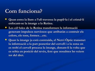 Com funciona?
   Quan entra la llum a l’ull travessa la pupil·la i el cristal·lí
    enfocant-se la imatge a la Retina.
   Les cèl·lules de la Retina transformen la informació
    generant impulsos nerviosos que arribaràn a contruir els
    colors, els tons, formes…etc.
   Quan la imatge ja està contruida, el Nervi Òptic transmet
    la informació a la part posterior del cervell i a la zona on
    es trobi el cervell procesa la imatge, donant-li la volta que
    es rebia en posició del revès, fent que nosaltres ho veiem
    tot del dret.
 