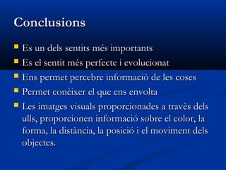 Conclusions
   Es un dels sentits més importants
   Es el sentit més perfecte i evolucionat
   Ens permet percebre informaciò de les coses
   Permet conèixer el que ens envolta
   Les imatges visuals proporcionades a travès dels
    ulls, proporcionen informació sobre el color, la
    forma, la distància, la posició i el moviment dels
    objectes.
 
