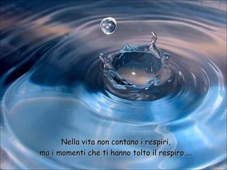 Nella vita non contano i respiri,Nella vita non contano i respiri,
ma i momenti che ti hanno tolto il respiro ...ma i momenti che ti hanno tolto il respiro ...
 