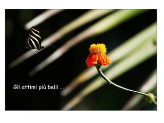 Gli attimi più belli …

 