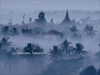 … Le emozioni, l’amore!

 
