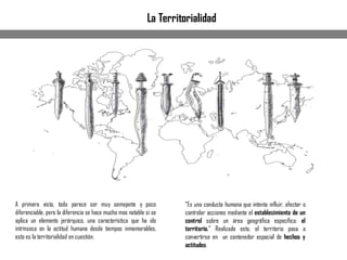A primera vista, todo parece ser muy semejante y poco
diferenciable, pero la diferencia se hace mucho mas notable si se
aplica un elemento jerárquico, una característica que ha ido
intrínseca en la actitud humana desde tiempos inmemorables,
esto es la territorialidad en cuestión.
La Territorialidad
“Es una conducta humana que intenta influir, afectar o
controlar acciones mediante el establecimiento de un
control sobre un área geográfica específica: el
territorio.” Realizado esto, el territorio pasa a
convertirse en un contenedor espacial de hechos y
actitudes.
 