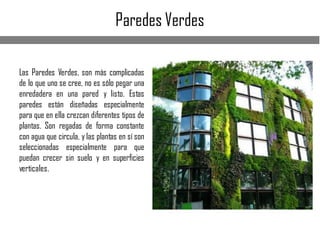 Paredes Verdes
Las Paredes Verdes, son más complicadas
de lo que uno se cree, no es sólo pegar una
enredadera en una pared y listo. Estas
paredes están diseñadas especialmente
para que en ella crezcan diferentes tipos de
plantas. Son regadas de forma constante
con agua que circula, y las plantas en sí son
seleccionadas especialmente para que
puedan crecer sin suelo y en superficies
verticales.
 
