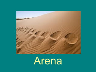 Arena
