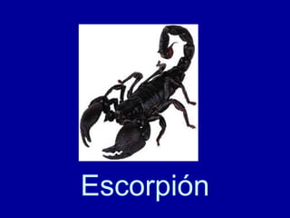 Escorpión