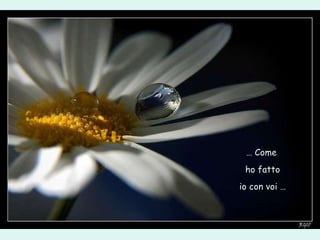 …  Come  ho fatto io con voi  … 