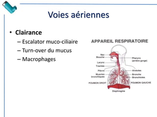 Voies aériennes
• Clairance
– Escalator muco-ciliaire
– Turn-over du mucus
– Macrophages
 