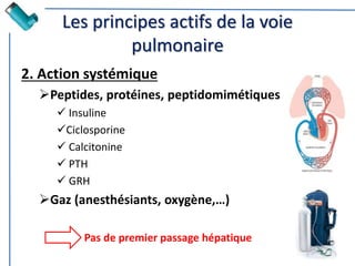 Les principes actifs de la voie
pulmonaire
2. Action systémique
Peptides, protéines, peptidomimétiques
 Insuline
Ciclosporine
 Calcitonine
 PTH
 GRH
Gaz (anesthésiants, oxygène,…)
Pas de premier passage hépatique
 