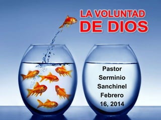 Pastor
Serminio
Sanchinel
Febrero
16, 2014

 